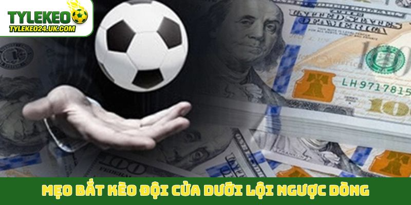 Mẹo bắt kèo đội cửa dưới lội ngược dòng