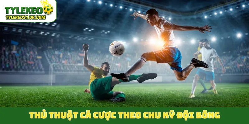 Thủ thuật cá cược theo chu kỳ đội bóng