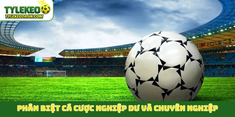 Phân biệt cá cược nghiệp dư và chuyên nghiệp