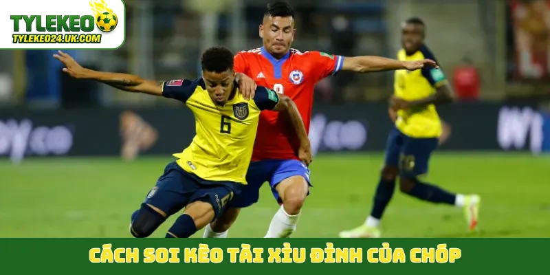 Cách soi kèo tài xỉu đỉnh của chóp