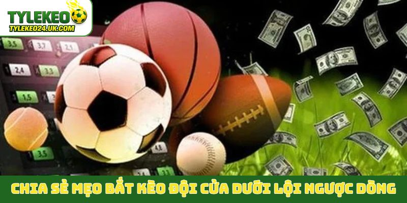 Chia sẻ mẹo bắt kèo đội cửa dưới lội ngược dòng