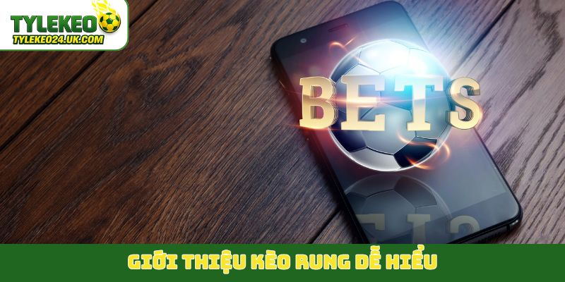 Giới thiệu kèo rung dễ hiểu