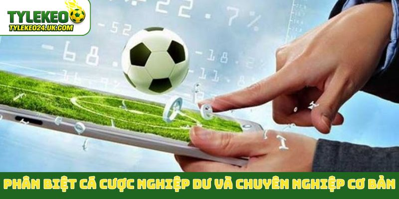 Phân biệt cá cược nghiệp dư và chuyên nghiệp cơ bản