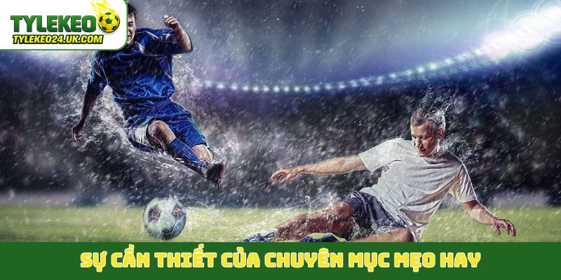 Sự cần thiết của chuyên mục mẹo hay