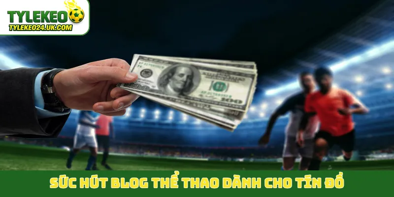 Sức hút blog thể thao dành cho tín đồ