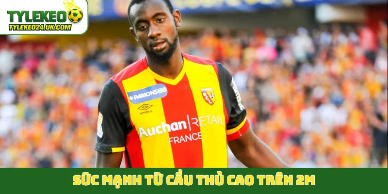 Sức mạnh từ cầu thủ cao trên 2m