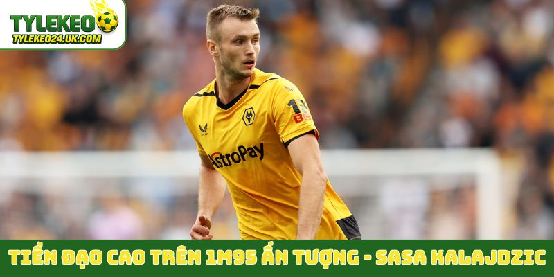 Tiền đạo cao trên 1m95 ấn tượng - Sasa Kalajdzic