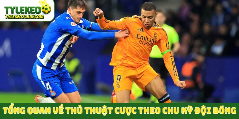 Tổng quan về thủ thuật cược theo chu kỳ đội bóng