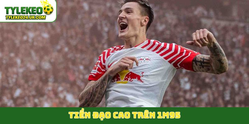 Tiền đạo cao trên 1m95